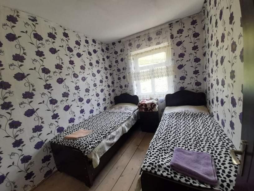 Guesthouse Lika Ushguli Zewnętrze zdjęcie
