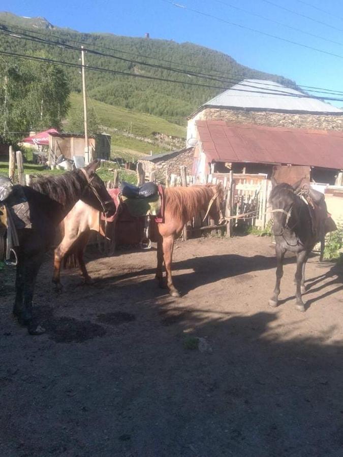 Guesthouse Lika Ushguli Zewnętrze zdjęcie