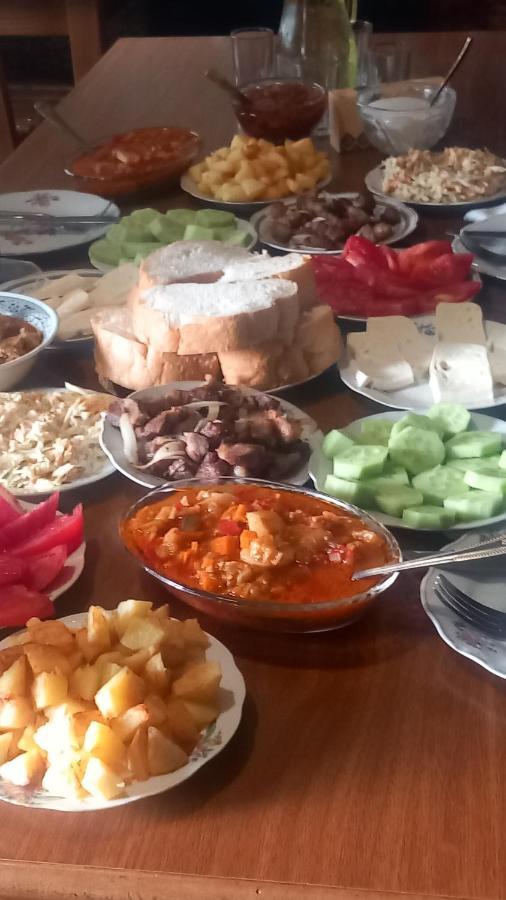 Guesthouse Lika Ushguli Zewnętrze zdjęcie